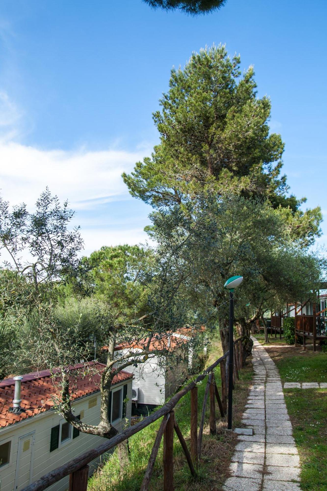 Cerquestra Camping Village Monte del Lago Exterior foto